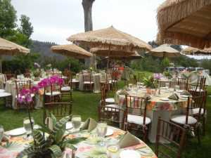 Nice Table Set up with Orchid