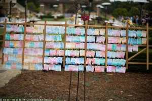 Place Cards