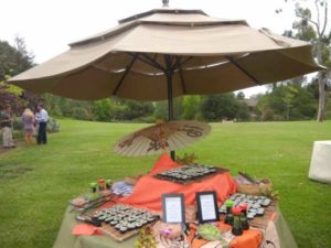 Sushi set Up - grass in background